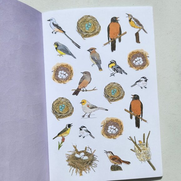 Nature Anatomy Sticker Book Julia Rothman 750 Stickers birds, feathers, wildflow - Picture 13 of 15